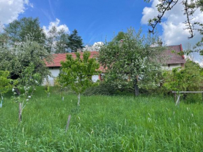 Hlinné v Orlických horách, Dobré